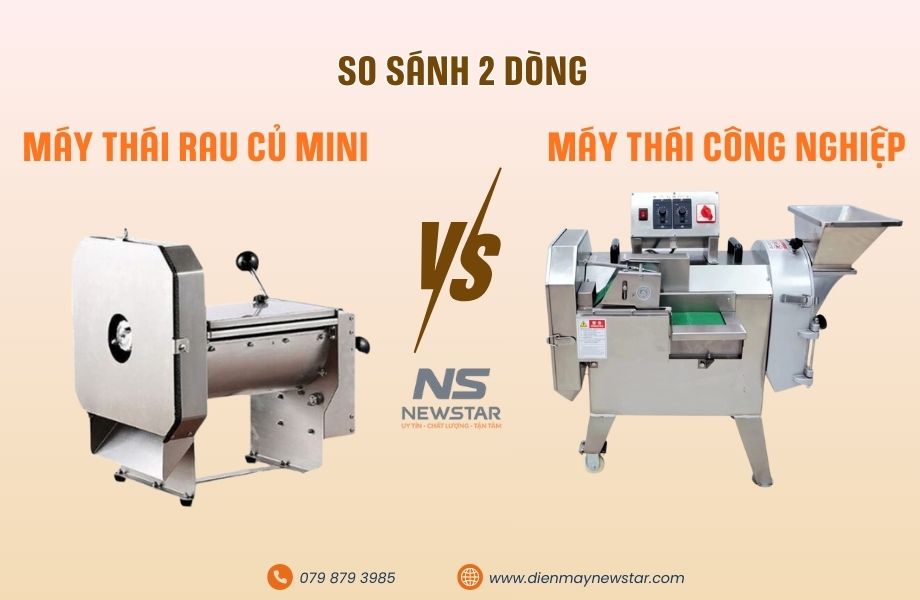 So sánh Máy Thái Rau Củ Mini và Máy Công Nghiệp: Khi nào cần nâng cấp?