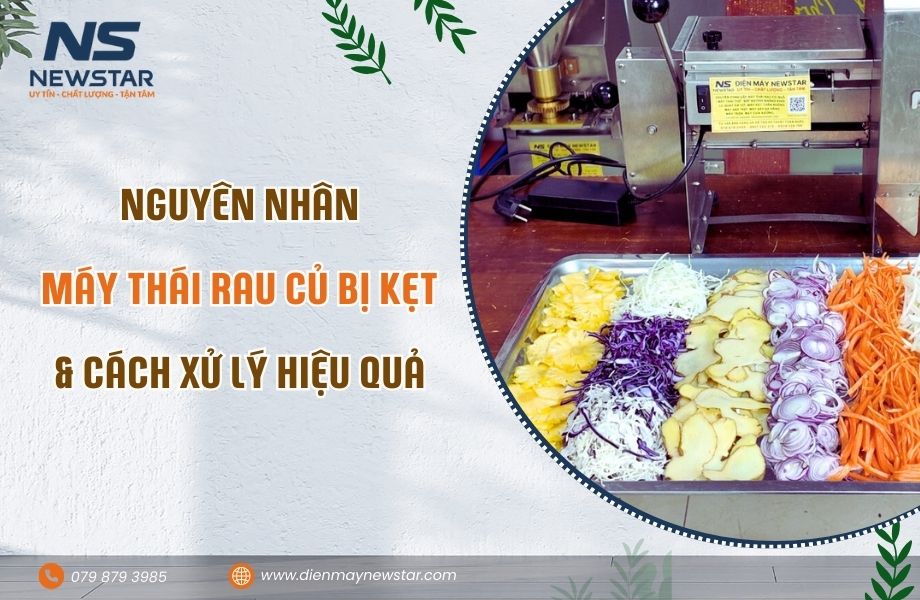 Nguyên nhân máy thái rau củ bị kẹt và cách xử lý tại chỗ