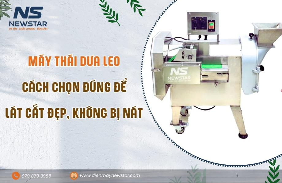 Máy Thái Dưa Leo: Cách Chọn Đúng Để Lát Cắt Đẹp, Không Bị Nát