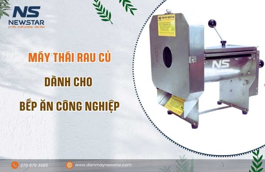 Máy thái rau củ dành cho bếp ăn công nghiệp