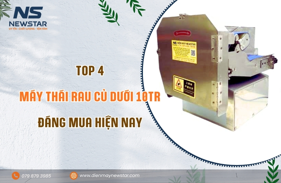 Top 4 máy thái rau củ dưới 10tr đáng mua hiện nay