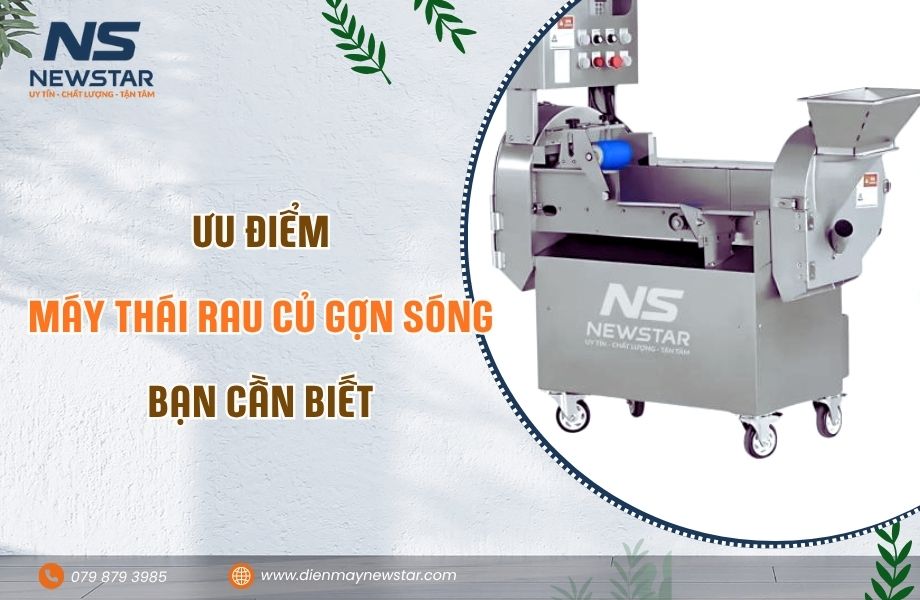 Ưu điểm máy thái rau củ gợn sóng bạn cần biết
