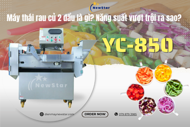 Máy thái rau củ 2 đầu là gì? Năng suất vượt trội ra sao?