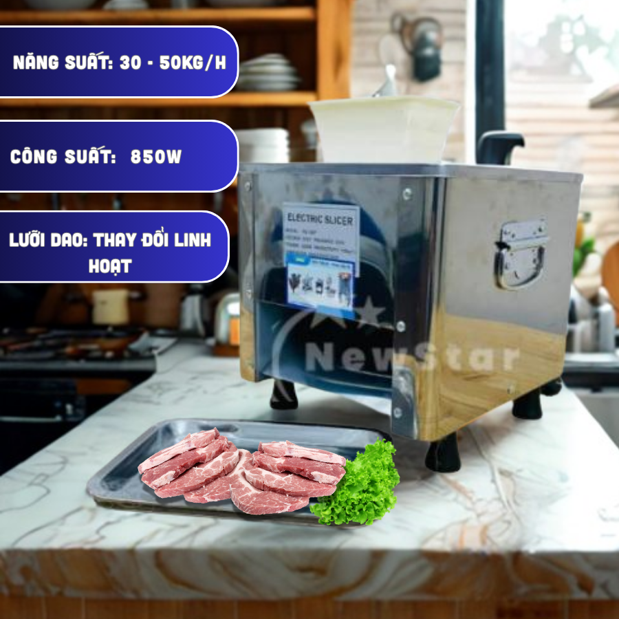 Máy thái thịt nhỏ gọn RS85P 