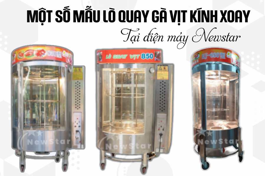 Một Số Mẫu Lò Kính Quay Gà Vịt Tại Điện Máy Newstar