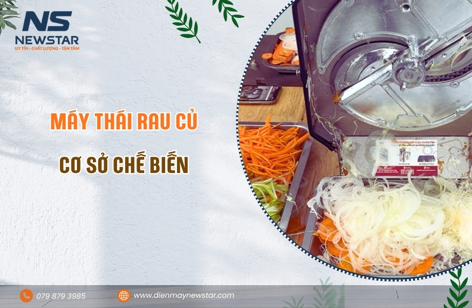 Máy Thái Rau Củ Cơ Sở Chế Biến: Tiêu Chuẩn, Năng Suất & Dòng Máy Phù Hợp
