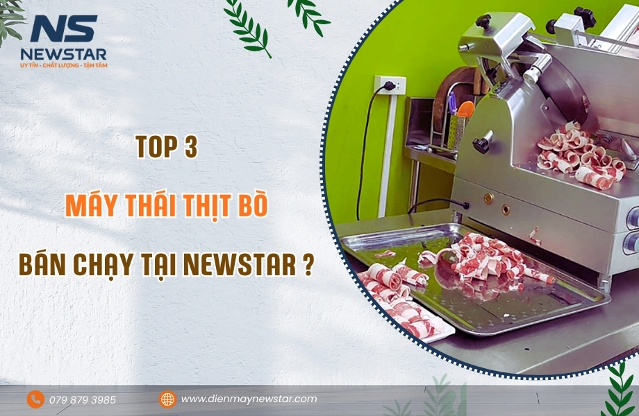 Máy thái thịt bò | Top 3 máy thái thịt bò bán chạy tại Điện Máy Newstar