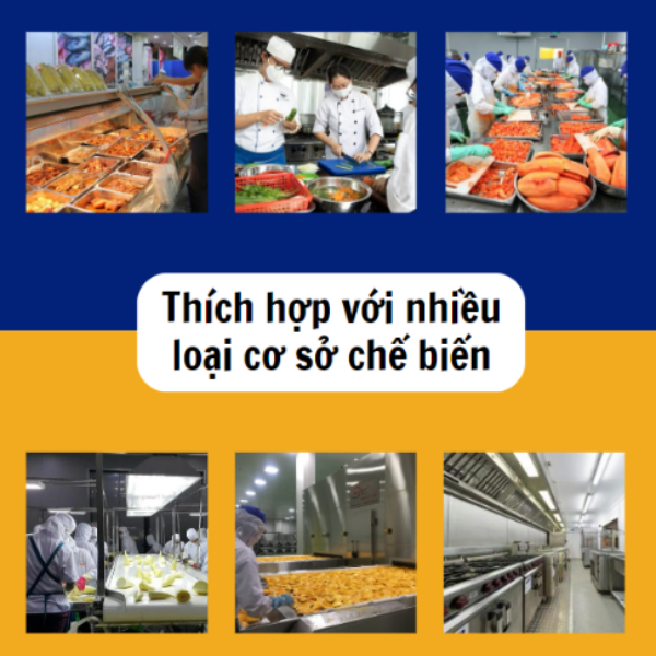 máy thái rau củ QSP-20 