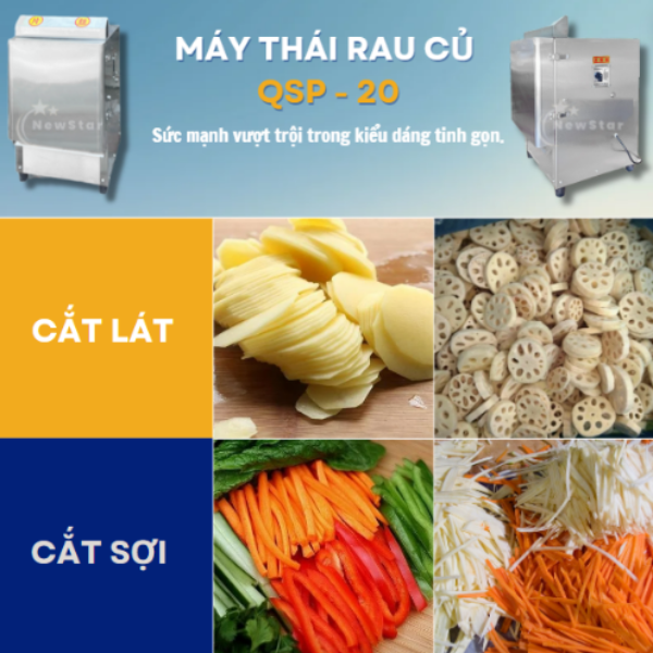 máy thái rau củ QSP-20 