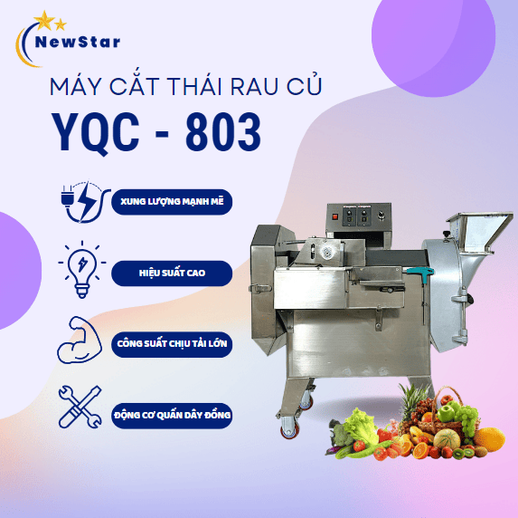 Hướng dẫn chọn mua máy thái rau củ quả phù hợp 5
