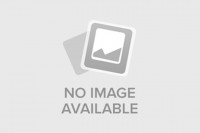 Máy thái lát khoai tây – Giải pháp cắt lát nhanh, Cập nhật bảng giá 2025