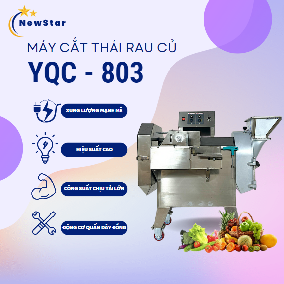 Máy cắt thái rau củ quả công nghiệp YQC-803