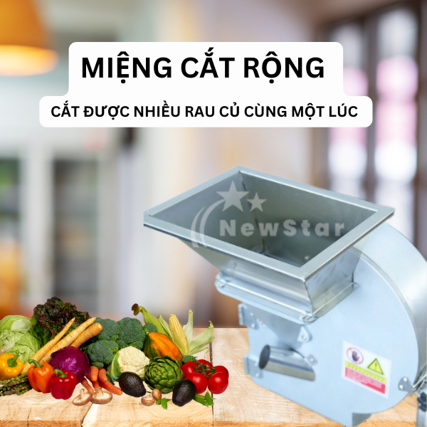 Máy thái rau củ công nghiệp YQC-850