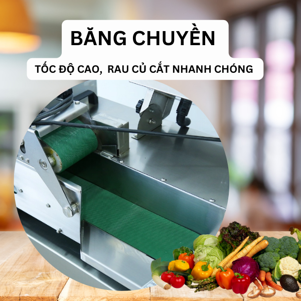 Máy thái rau củ công nghiệp YQC-850