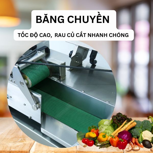May-thai-rau-cu-cong-nghiep-YQC-850-bang-chuyen-toc-do-cao