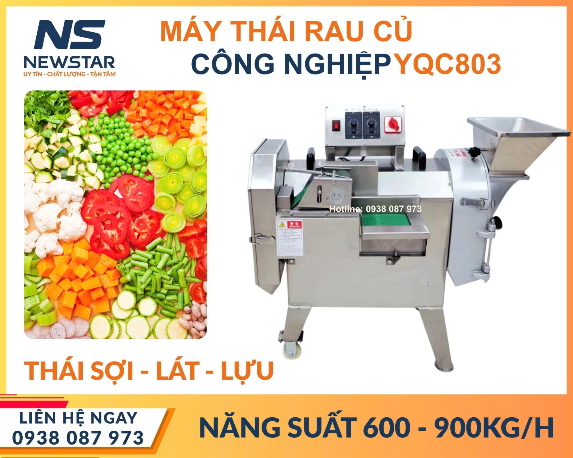 Máy thái rau củ quả YQC-803