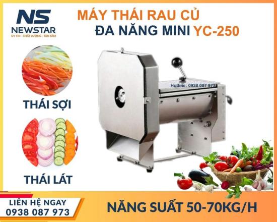 Máy thái rau củ mini đa năng YC-250