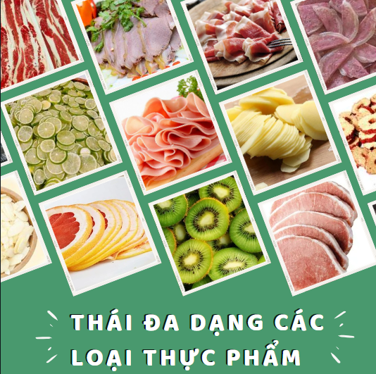 May_thai_thit_dong_lanh_ES_250_thai_da_dang_cac_loai_thuc_pham