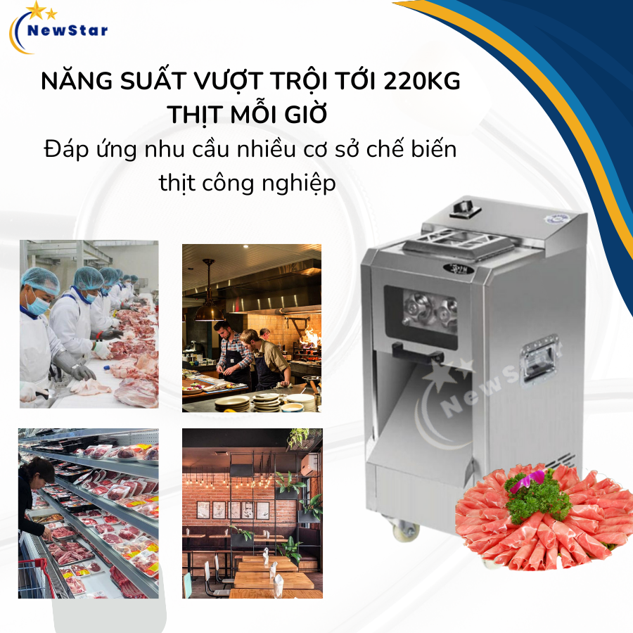 May-thai-thit-tuoi-DQ8-nang-suat