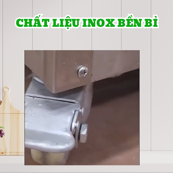 May_thai_thit_tuoi_song_DQ_300_chat_lieu_inox