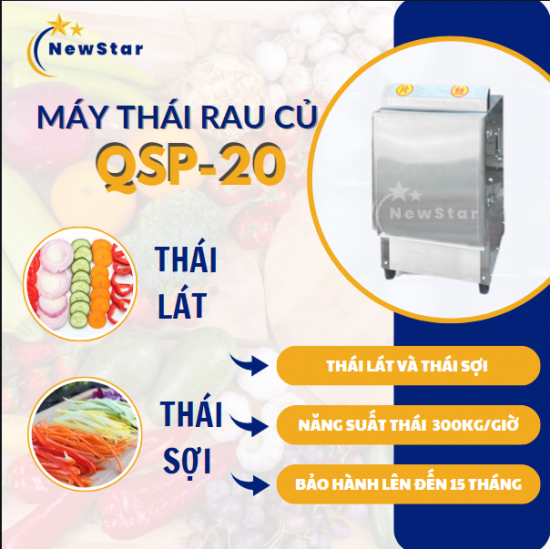 Máy thái rau củ quả QSP-20