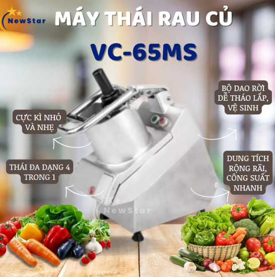 Máy thái rau củ quả VC-65MS