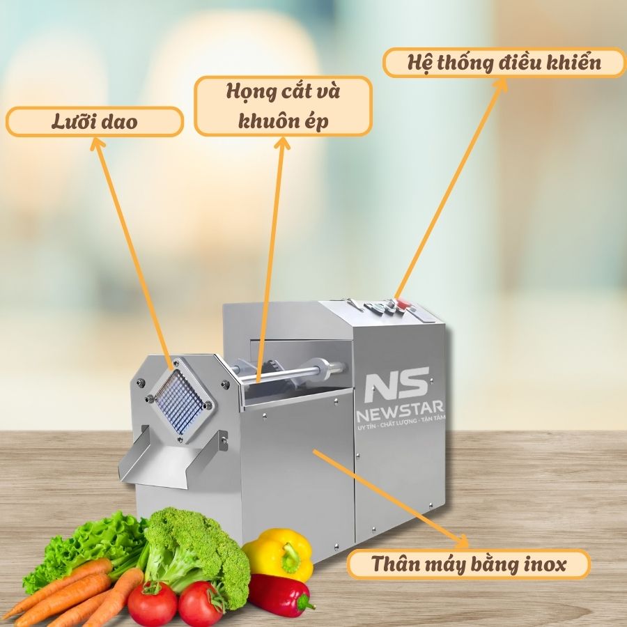 Cấu tạo của máy thái con chì rau củ quả NS-90