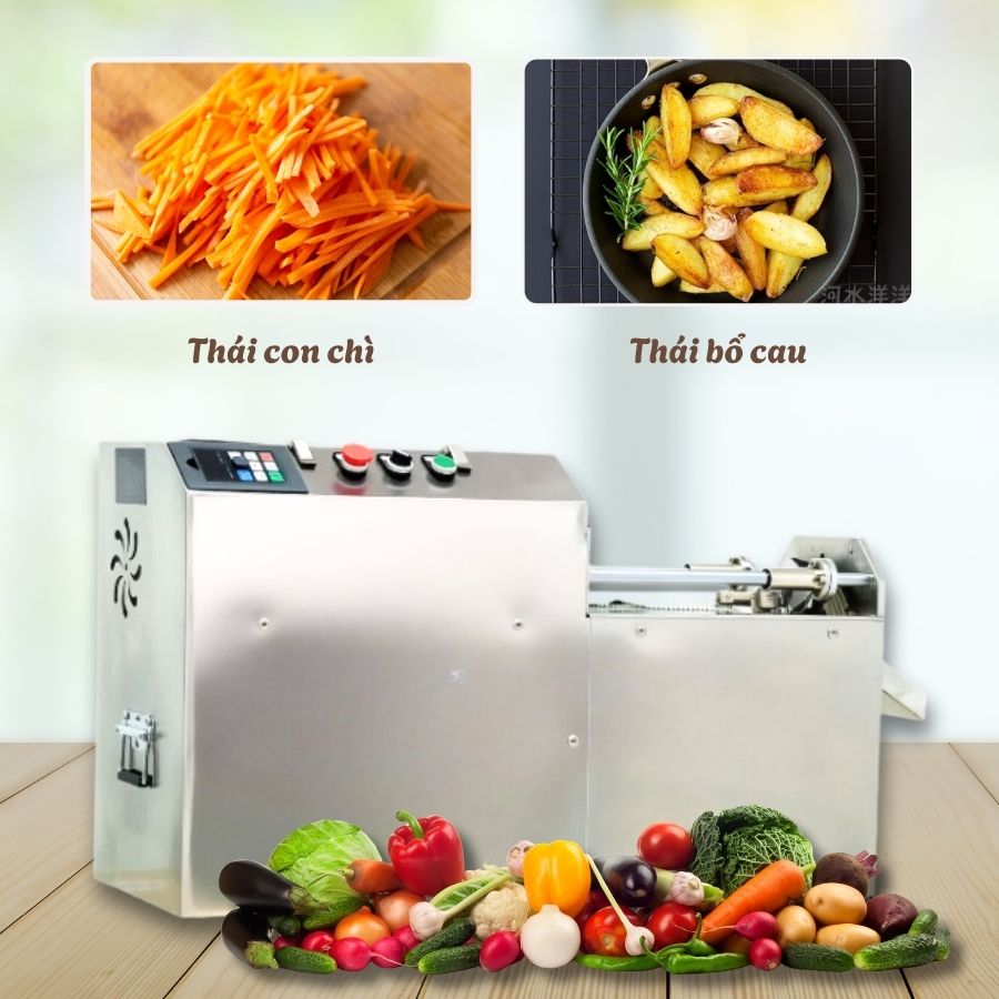 Hai hình thức thái của máy thái con chì rau củ quả NS-90