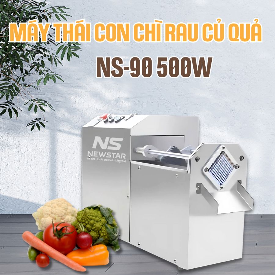 Máy thái con chì rau củ quả NS-90